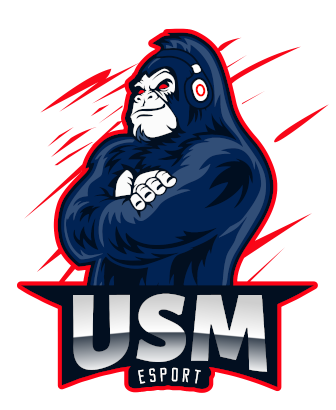 USM eSport